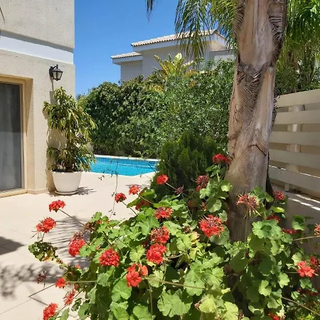 Anthorina 3 فيلة